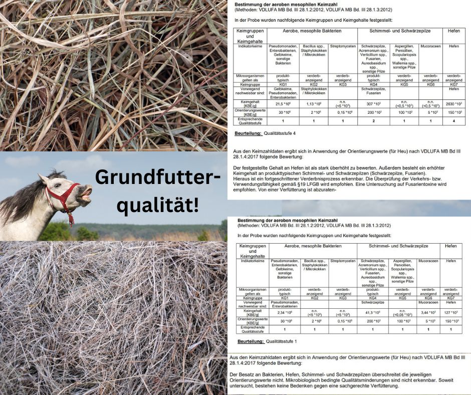 Grundfutterqualität!!!